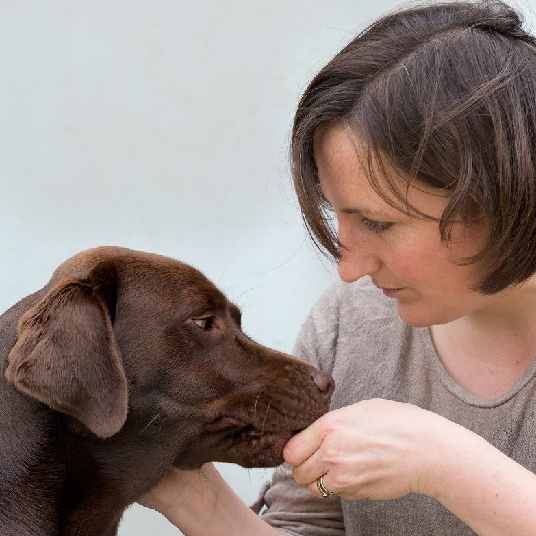 Vet, genetics researcher, hockey player. See @GOdogsproject for research output.