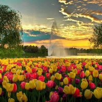 غريبه من دون ذنب وخطيئه $ فؤادك وسط نيرانه رماني (@ggg343434) 's Twitter Profile
