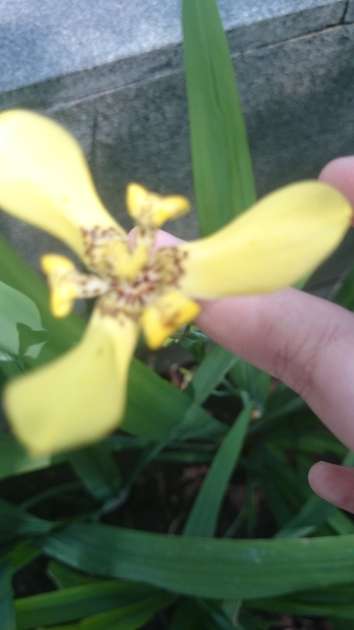 Adamfeb17335959's profile picture. Karep karep mu