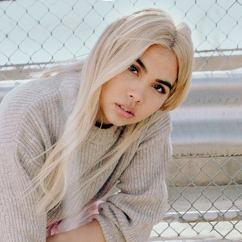 Grupo de kiyokians latinxs ayudando a promocionar a Hayley Kiyoko por Latinoamerica.