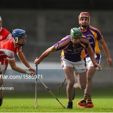 Physiotherapist - Online Coaching - seanmcgrath@rcsi.ie