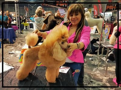 Sandra Rovira Peluquera Canina con mas de 10 años en el sector, galardonada con multiples medallas en campeonatos Nacionales e Internacionales.
🐶🐕🐩✂️