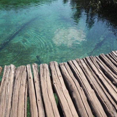 Nellysmdlv's profile picture. 