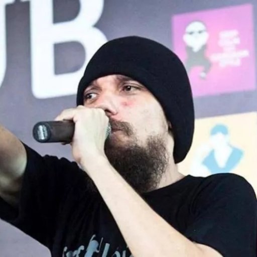 Cantor, youtuber, ator porno, humorista, compositor, apresentador de podcast, karateca, pugilista, tiktoker, empresario, lutador de vale tudo, web celebridade