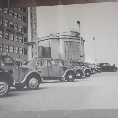 KartuzB's profile picture. Never perfect - never satisfied et des tweet qui dérangent.