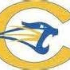 CarletonCougars Profile Picture