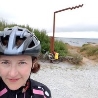 Dr Sophie Price (@sophietralee) 's Twitter Profile