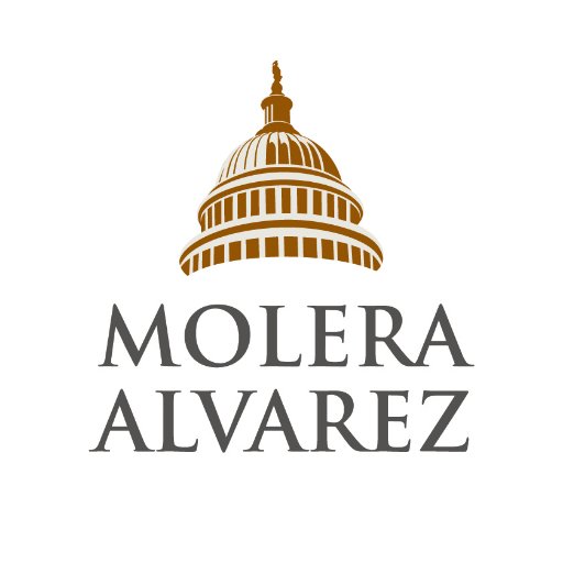 Molera Alvarez Profile