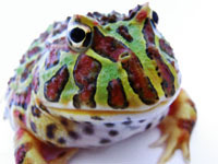 hirocool1966's profile picture. 容赦無い熟年？？