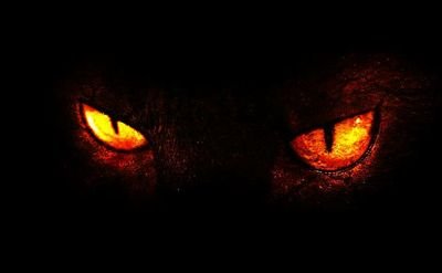 curtis_pyke's profile picture. 