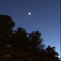 Bruce Hope (@brucehope4) 's Twitter Profile