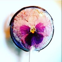 PetalandFloss (@petalandfloss) 's Twitter Profile