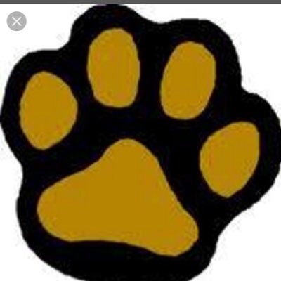 LadyLionsWBB Profile Picture