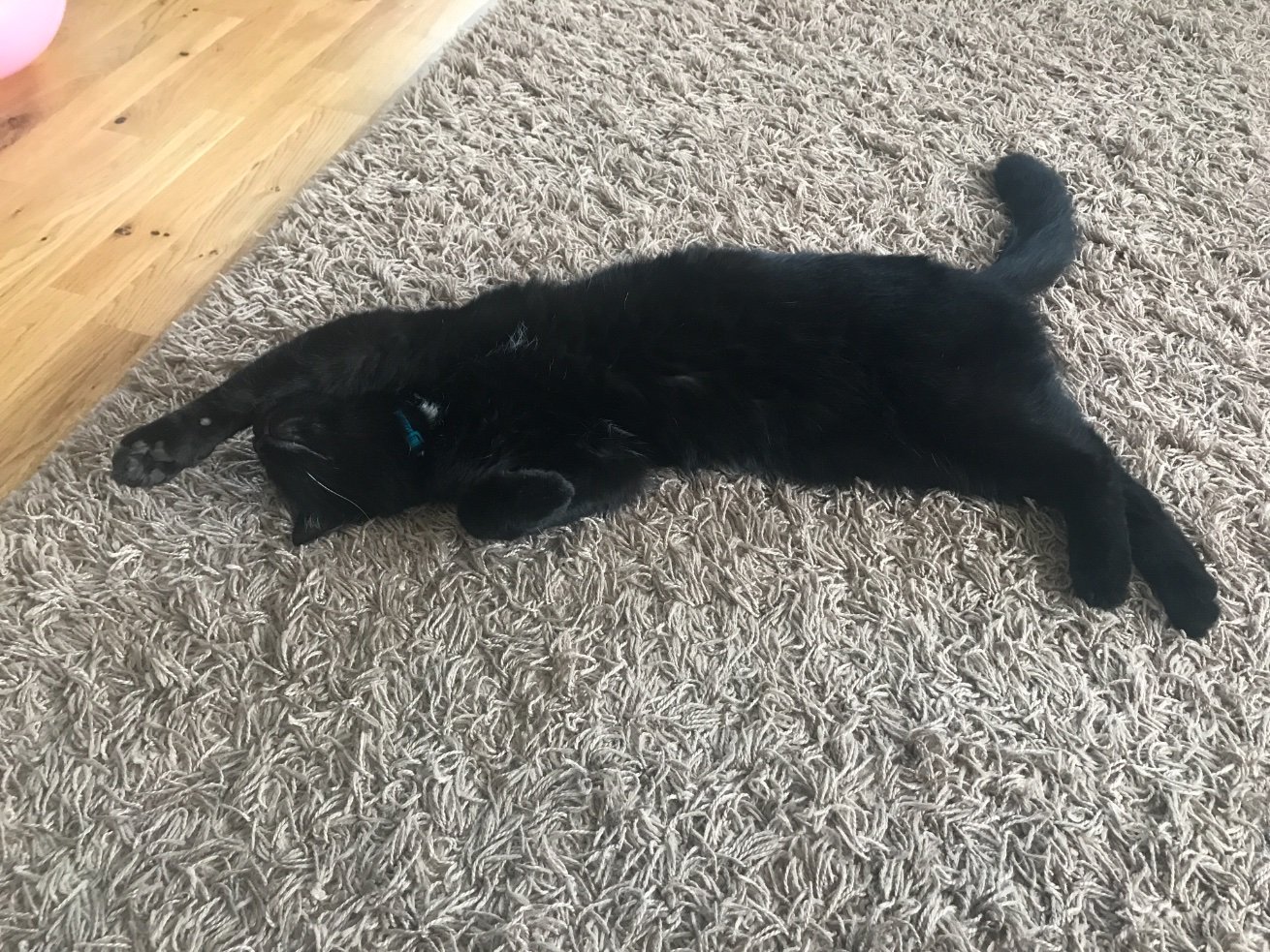 MrsMiyagi2012's profile picture. 