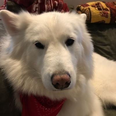Sergeant USMC × Twitch Partner × https://t.co/DSalHmhebh × I play CS(kinda)