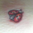 Casey Frank - @MissCasey2010 - Twitter