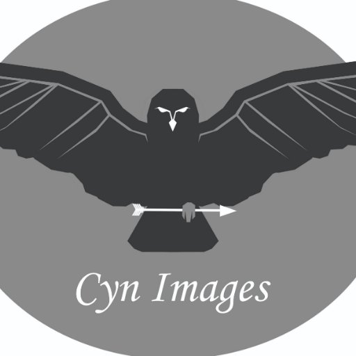 ImagesCyn's profile picture. Artist