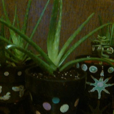 BraunHjordis's profile picture. I believe in magic! Let's impeach the m'fer! In between time, trying to get ma' code on. #WebDev #NeverBernie 
Catch me @jojos444