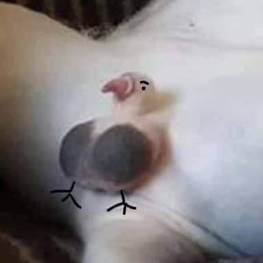 bin123456789vn's profile picture. 