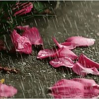 türk olgunlarla sex (@can37206662) Twitter profile photo