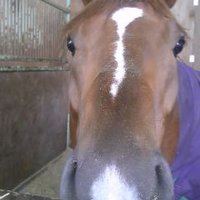 Dasher-One (@one_dasher) 's Twitter Profile Photo