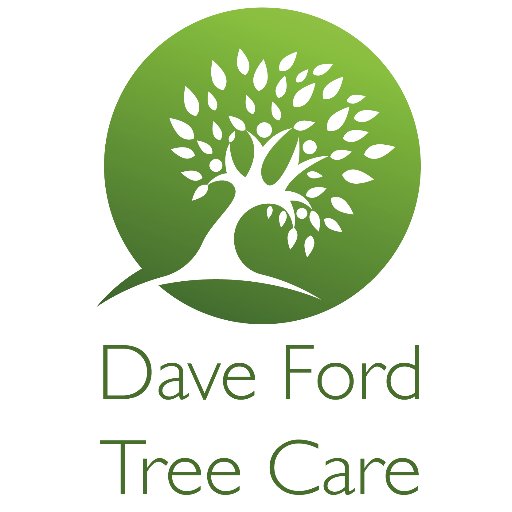 DFordTreeCare Profile Picture