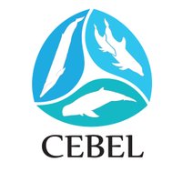 CEBEL (@cebelresearch) 's Twitter Profile