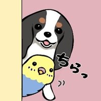 🌼みちころ michicoro 🐤 (@michicoro15) 's Twitter Profile
