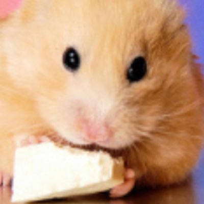 minnamichizure's profile picture. 