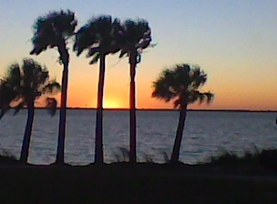 Rymonster98's profile picture. 