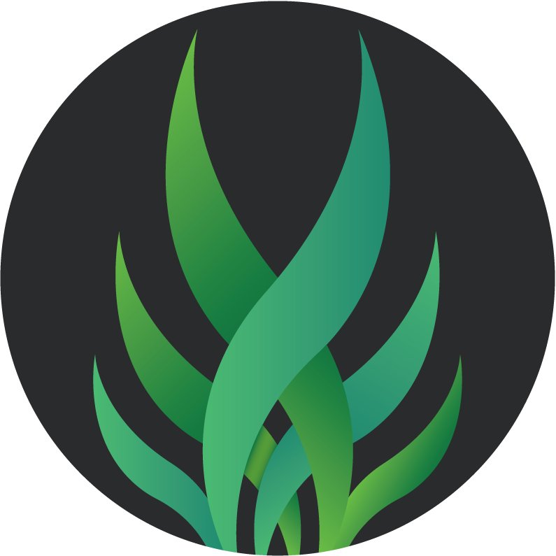 Pyrifera Capital is an independent, alternative investment firm focused on quant driven innovation and provides discretionary investment solutions.