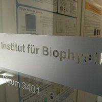 Biophysics Ulm(@BiophysicsUlm) 's Twitter Profile Photo