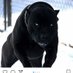 Justbargains (@asxjustbargains) Twitter profile photo Justbargains (@asxjustbargains) Twitter profile photo