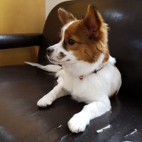 Eifiion (@eifion01) 's Twitter Profile