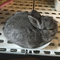 sesame (@openthesesame2) 's Twitter Profile