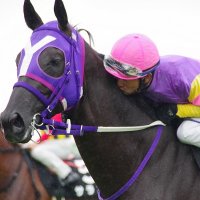 ナミノオト (@napo_cross) 's Twitter Profile Photo