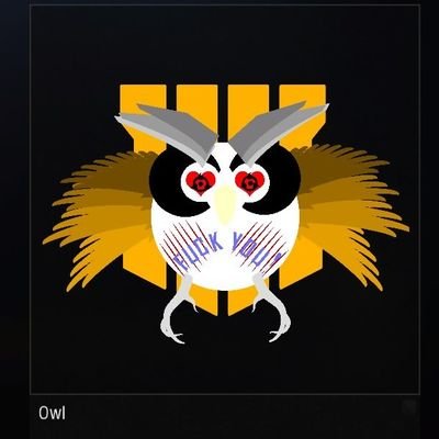 flying__owl Profile Picture