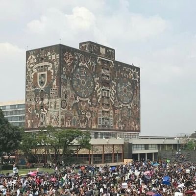 rivera_sonya's profile picture. 