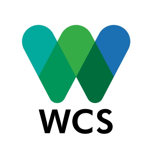 WCSAdapts Profile Picture