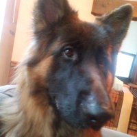cynthia allen (@allen11cynthia) 's Twitter Profile