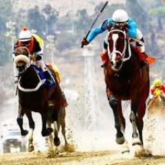 EL HIPISMO MI PASIÓN, PARA SIEMPRE.

DISCIPLINA Y MAS DISCIPLINA A

LA TROPA DE ENCUESTAS HÍPICA, VAMOS TODOS PUESS  A ESPERAR CON

PACIENCIA EL RESULTADO FINAL