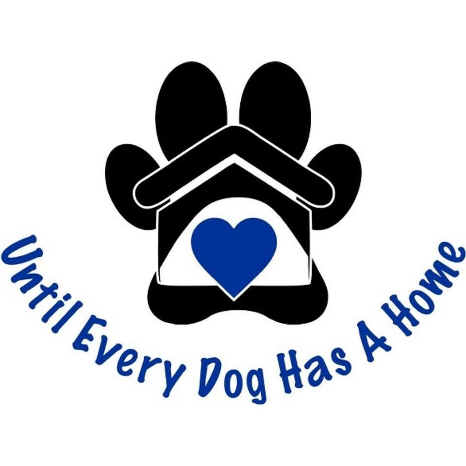 Until Every Dog Has A Home is a non profit organisation offering behavioural training, rescue and lifetime sanctuary to at risk dogs in the UK