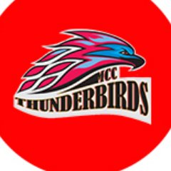 Mesa Thunderbirds Athletics