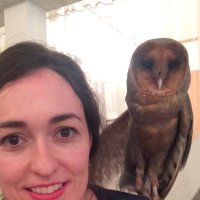 cssigel (@carliesigel) 's Twitter Profile