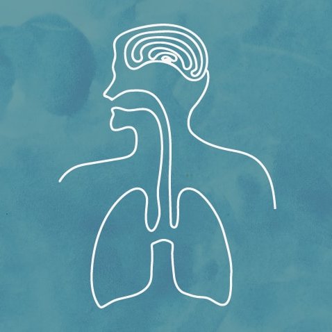 Updates on the research activities of the Lane Fox Clinical Respiratory Physiology Research Unit