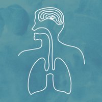 Lane Fox Respiratory Service (@lanefoxresearch) 's Twitter Profile