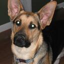 Simon Lee - @darkstorms - Twitter