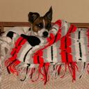 Lisa Roth - @bettyboop46996 - Twitter