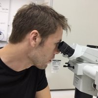 Ciaran Scott Hill (@ciaranscotthill) 's Twitter Profile