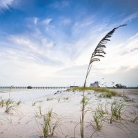 AL State Parks Foundation (@asparksfdn) 's Twitter Profile